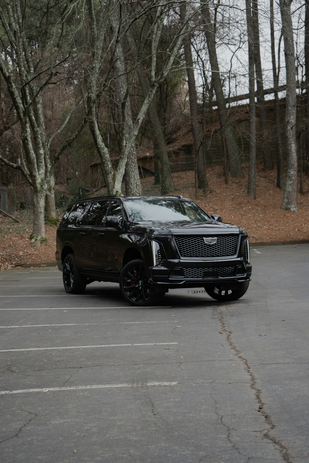 Range Rover Autobiography